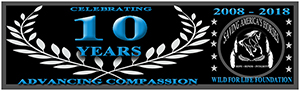 Advancing Compassion for 10 years